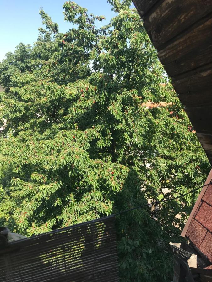 Broj Jedan Appartement Sokobanja Buitenkant foto