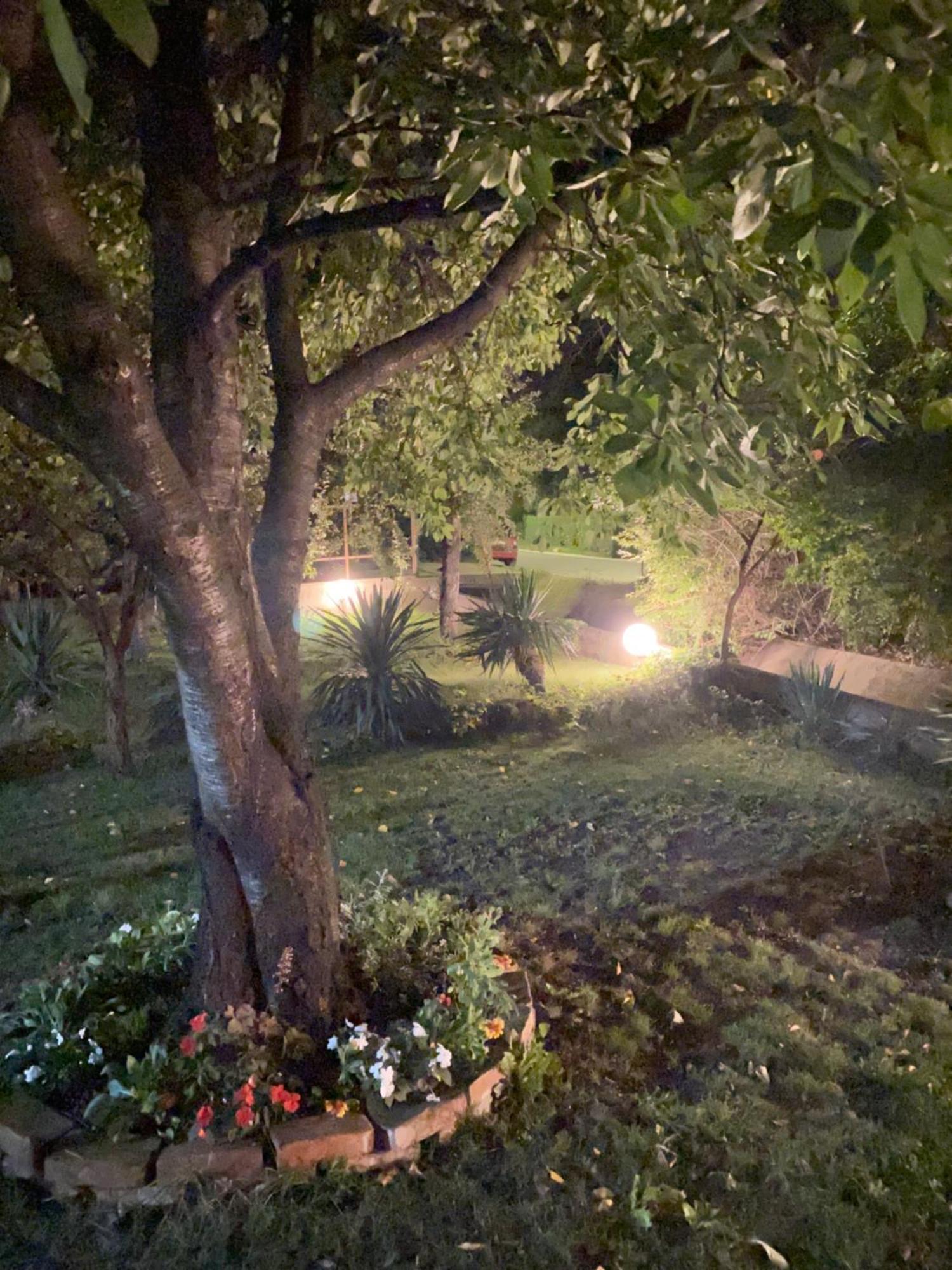 Broj Jedan Appartement Sokobanja Buitenkant foto